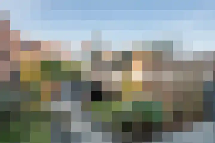 Dorsvlegel 8 Meteren thumbnail 25