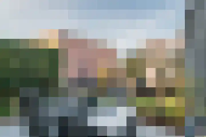Dorsvlegel 8 Meteren thumbnail 26