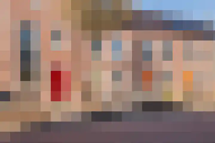 Dorsvlegel 8 Meteren thumbnail 27
