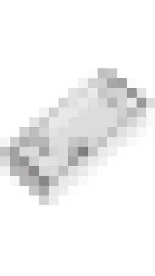 Dorsvlegel 8 Meteren thumbnail 29