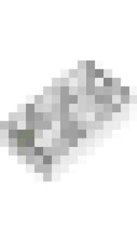 Dorsvlegel 8 Meteren thumbnail 31
