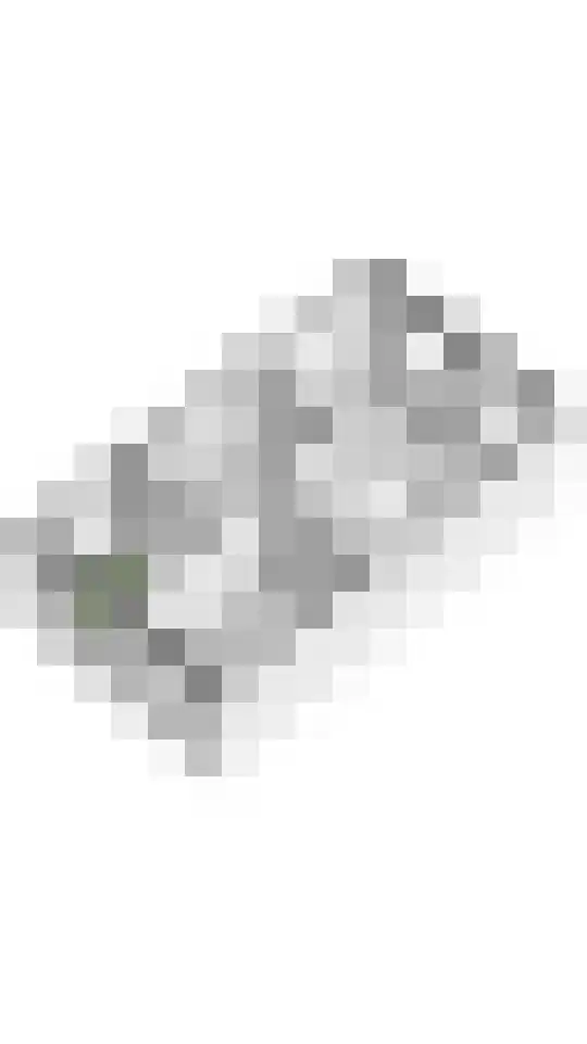 Dorsvlegel 8 Meteren thumbnail 31