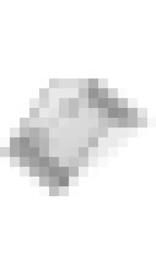 Dorsvlegel 8 Meteren thumbnail 33
