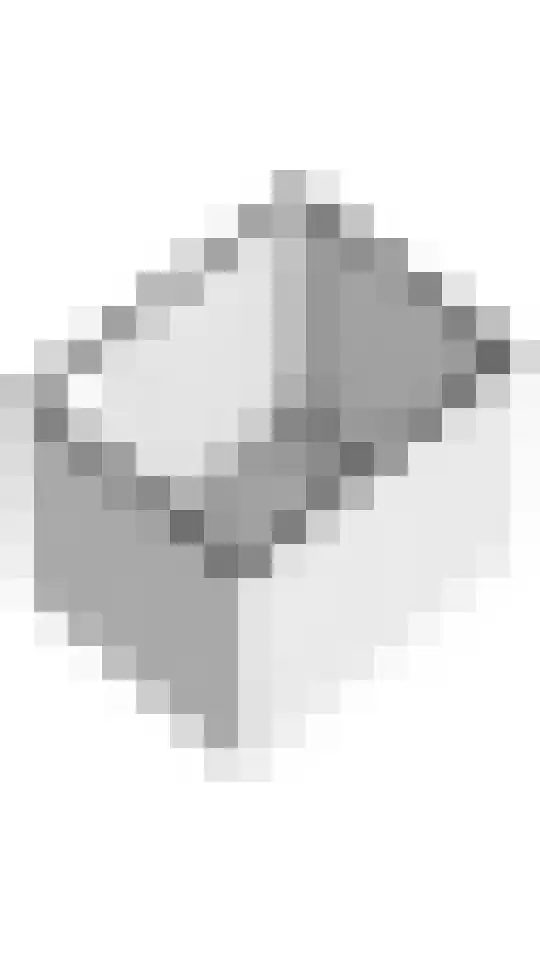 Dorsvlegel 8 Meteren thumbnail 35