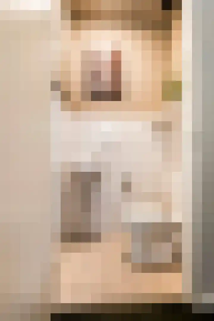 Dorsvlegel 8 Meteren thumbnail 4