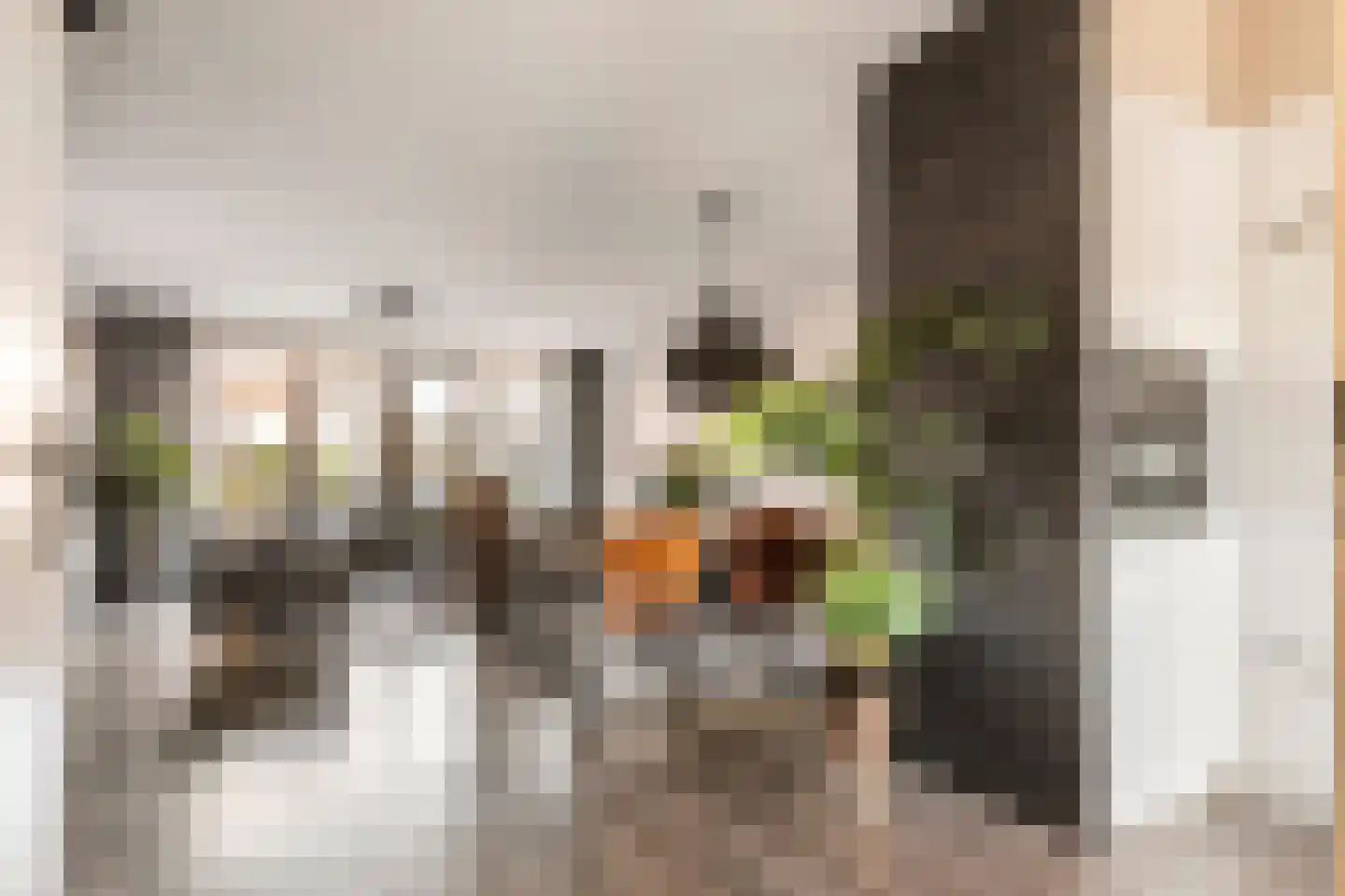 Dorsvlegel 8 Meteren thumbnail 5
