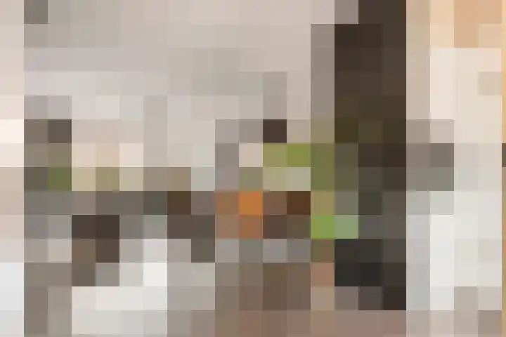 Dorsvlegel 8 Meteren thumbnail 5