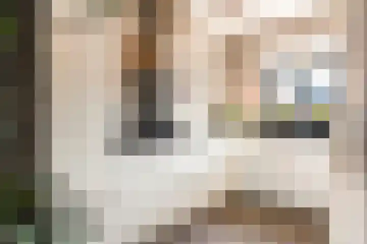 Dorsvlegel 8 Meteren thumbnail 6