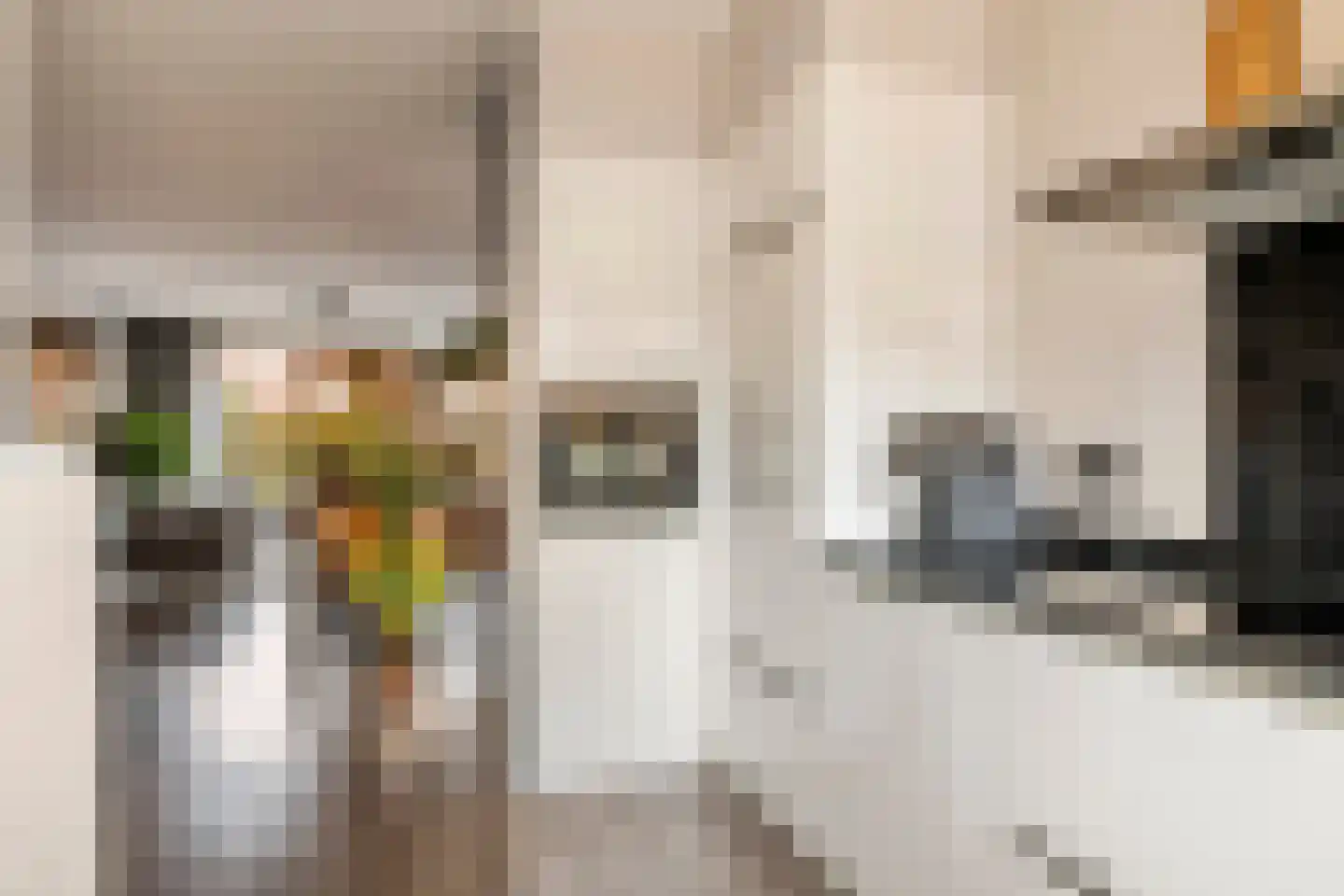 Dorsvlegel 8 Meteren thumbnail 7