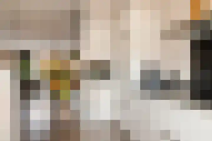 Dorsvlegel 8 Meteren thumbnail 7