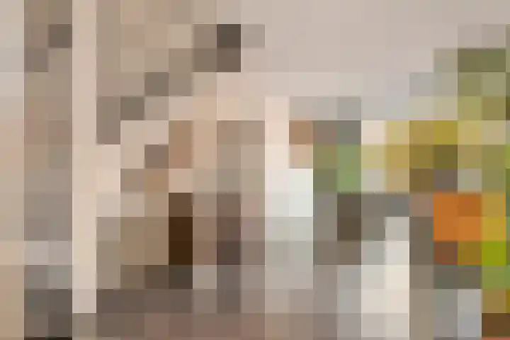 Dorsvlegel 8 Meteren thumbnail 8