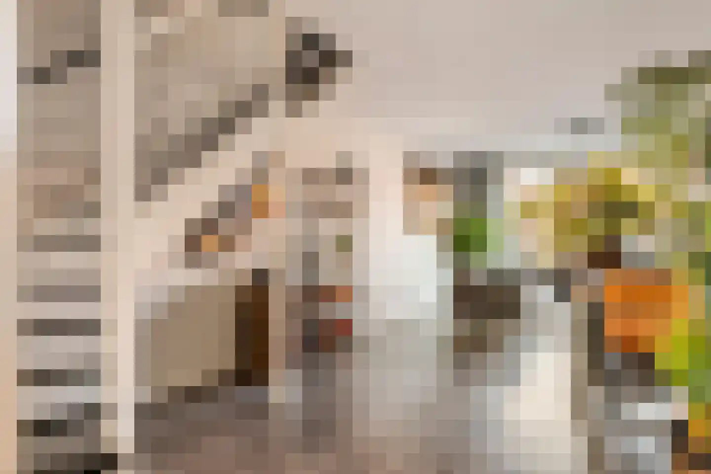 Dorsvlegel 8 Meteren thumbnail 8
