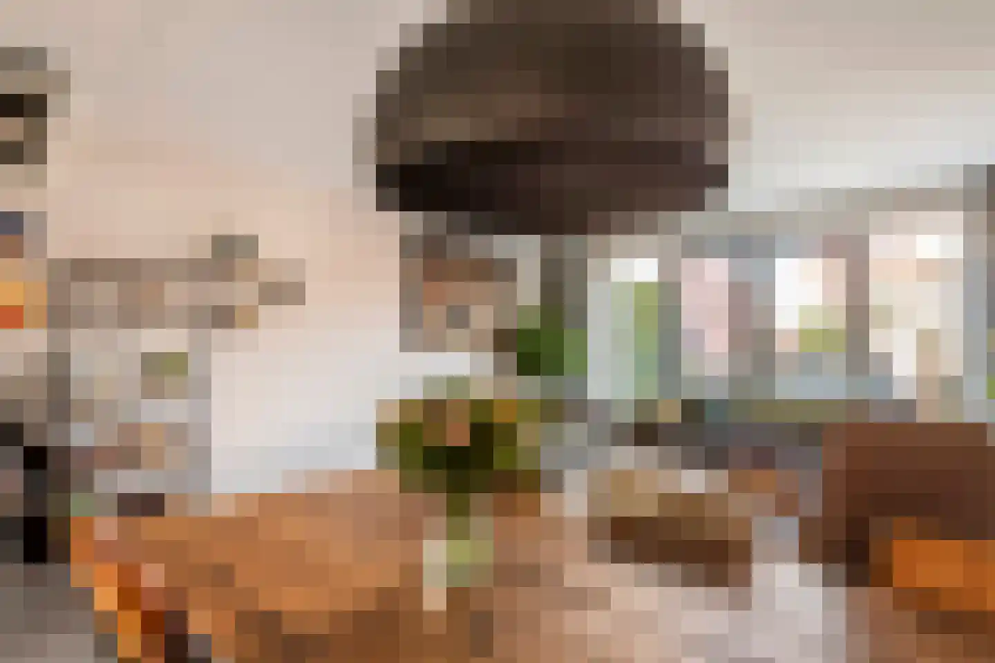 Dorsvlegel 8 Meteren thumbnail 9