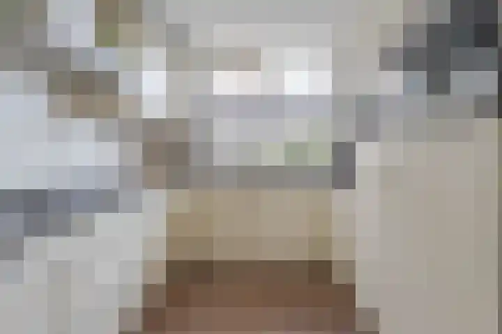 Dorsvlegel 9 Hazerswoude-Dorp thumbnail 10