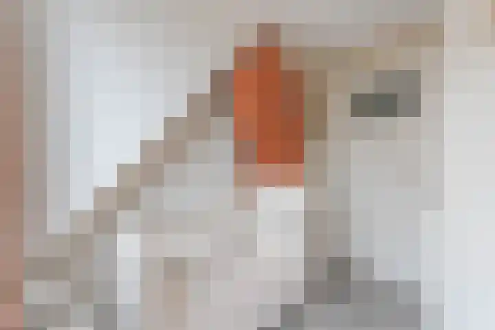 Dorsvlegel 9 Hazerswoude-Dorp thumbnail 16