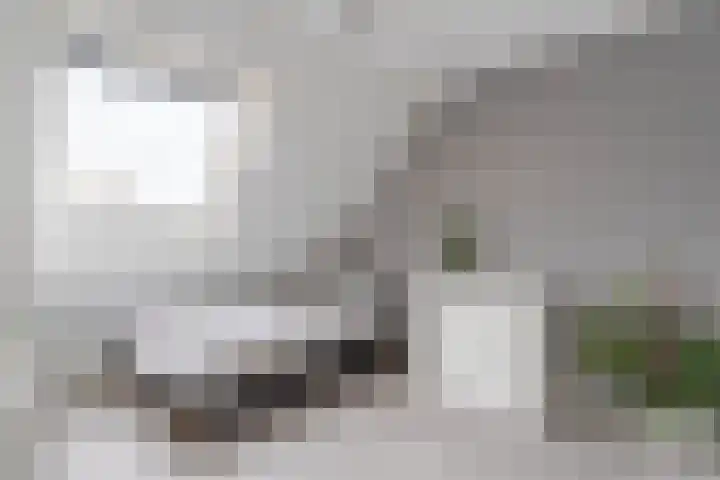Dorsvlegel 9 Hazerswoude-Dorp thumbnail 17