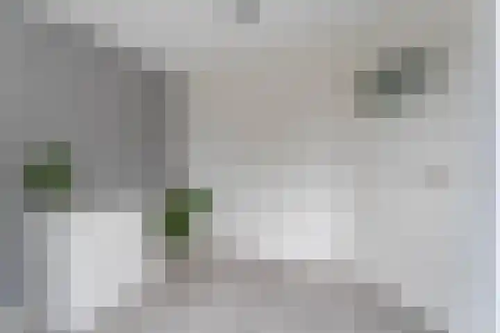 Dorsvlegel 9 Hazerswoude-Dorp thumbnail 18