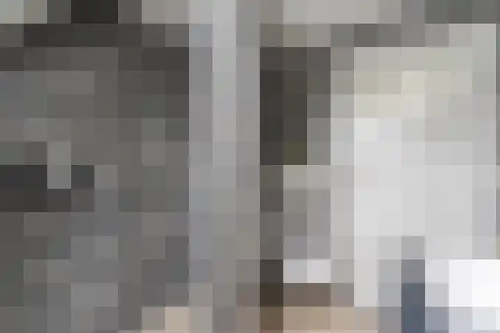 Dorsvlegel 9 Hazerswoude-Dorp thumbnail 21