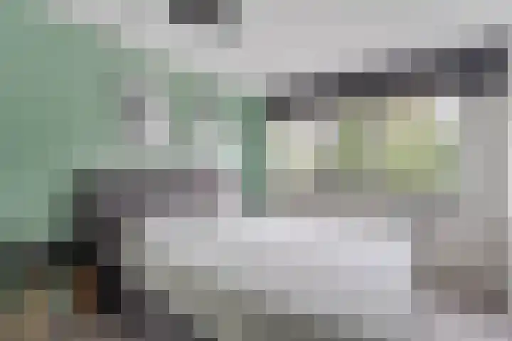 Dorsvlegel 9 Hazerswoude-Dorp thumbnail 22