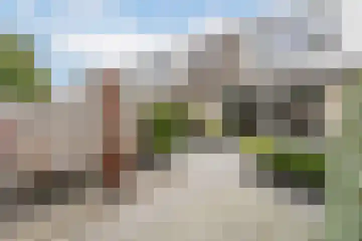 Dorsvlegel 9 Hazerswoude-Dorp thumbnail 24