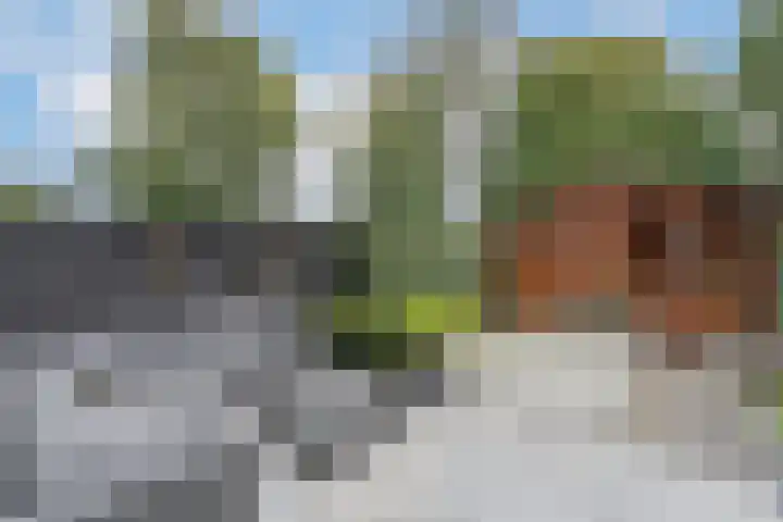 Dorsvlegel 9 Hazerswoude-Dorp thumbnail 25