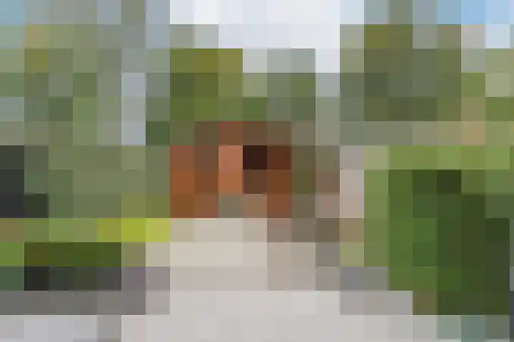 Dorsvlegel 9 Hazerswoude-Dorp thumbnail 26