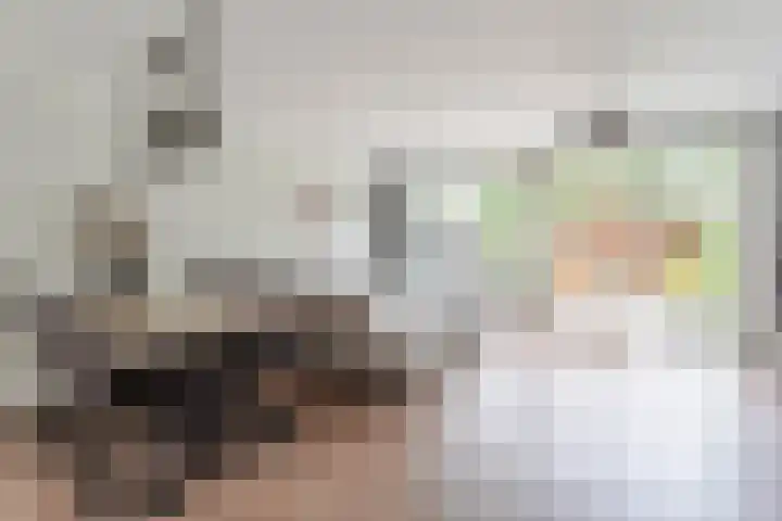Dorsvlegel 9 Hazerswoude-Dorp thumbnail 7