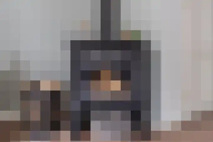 Dorsvlegel 9 Hazerswoude-Dorp thumbnail 9