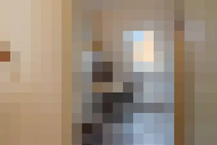 Dorsvlegelstraat 29 Purmerend thumbnail 20