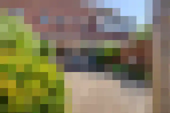 Dorsvlegelstraat 29 Purmerend thumbnail 29