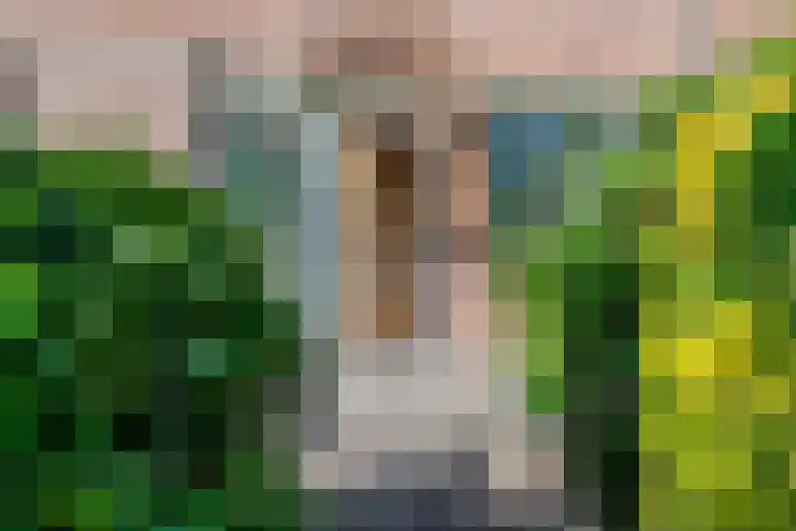 Dorsvlegelstraat 29 Purmerend thumbnail 36