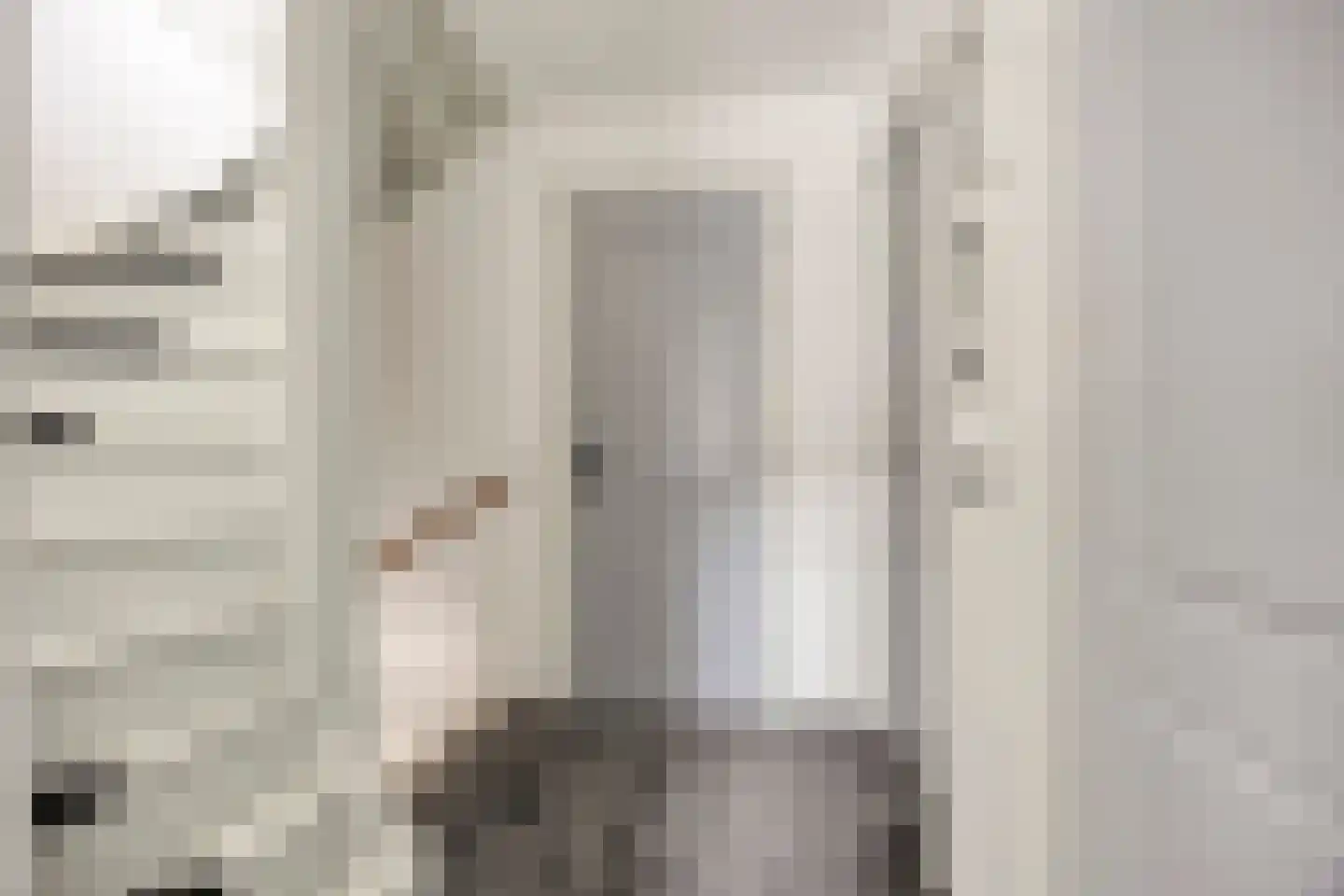 Dorsvlegelstraat 32 Purmerend thumbnail 21
