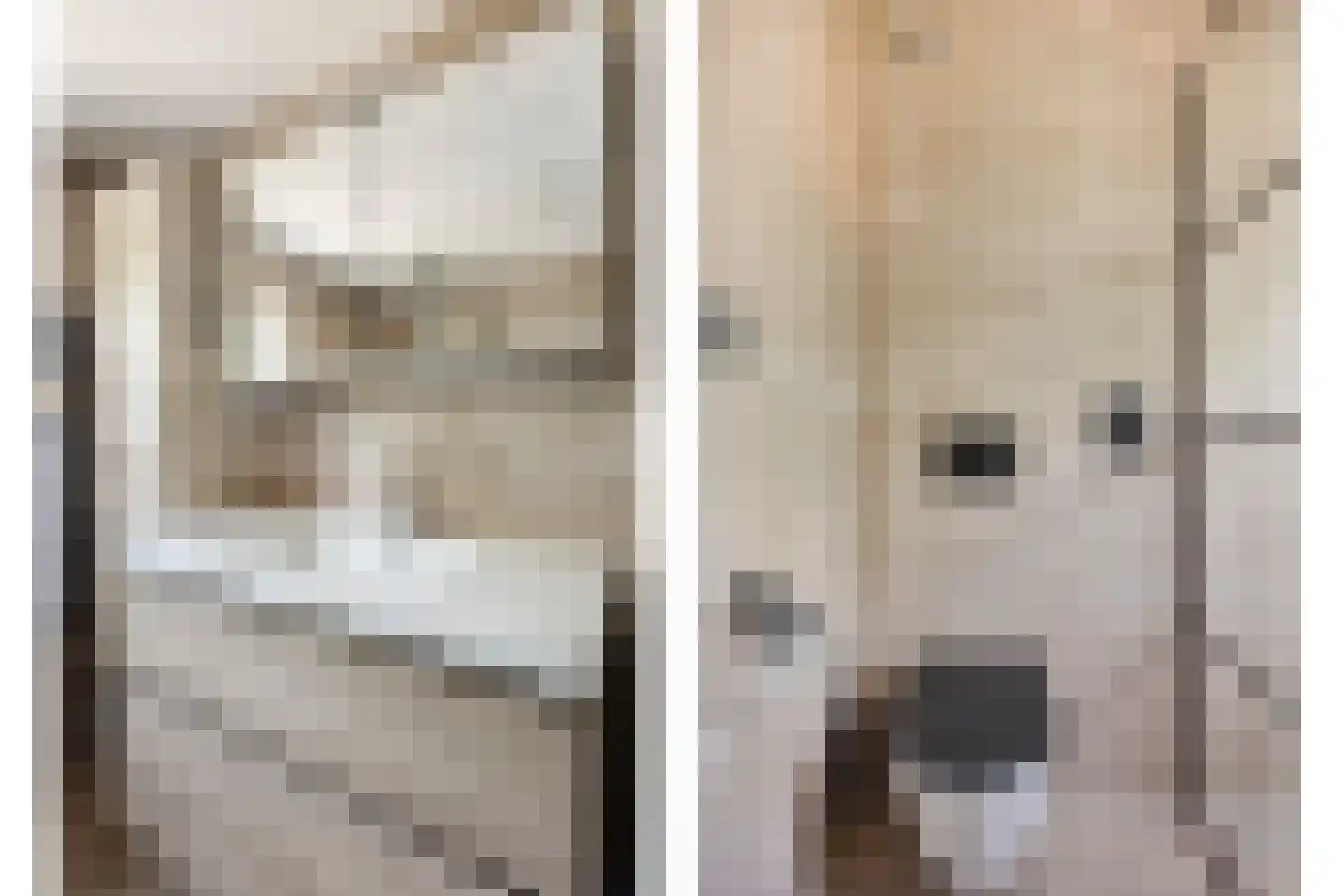Dorsvlegelstraat 32 Purmerend thumbnail 28
