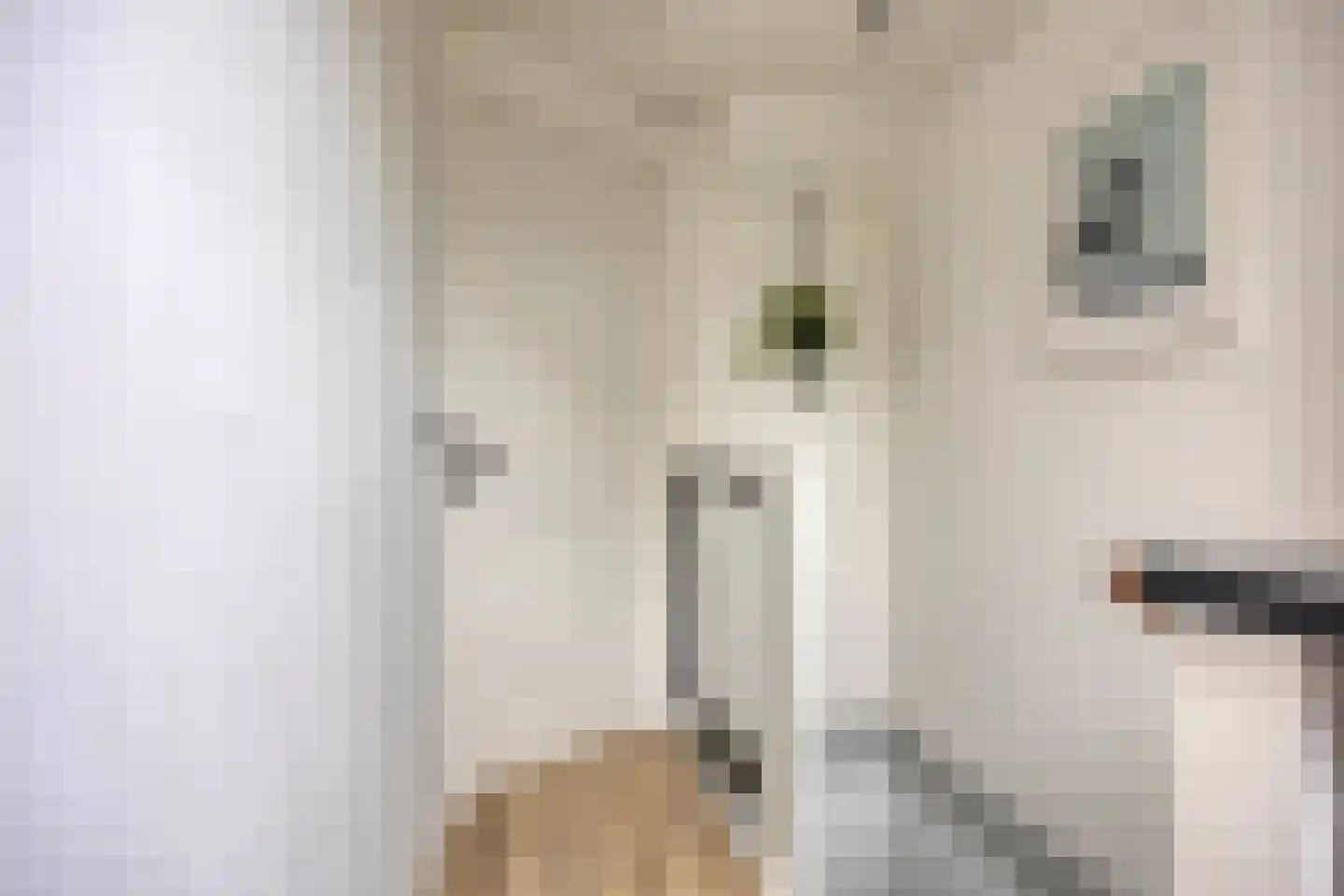 Dorsvlegelstraat 32 Purmerend thumbnail 32