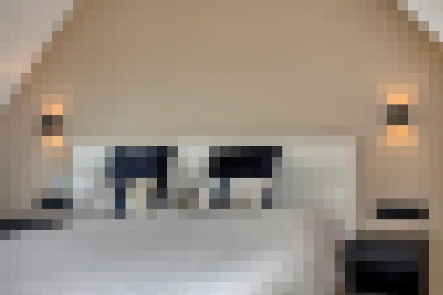 Dorsvlegelstraat 32 Purmerend thumbnail 35