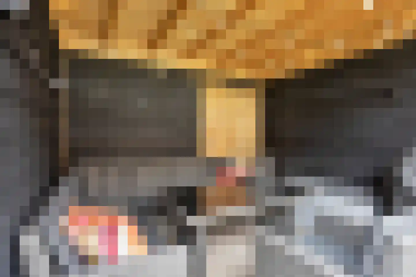 Dorsvlegelstraat 32 Purmerend thumbnail 38