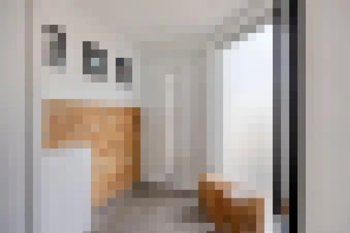 Dorsvlegelstraat 32 Purmerend thumbnail 9