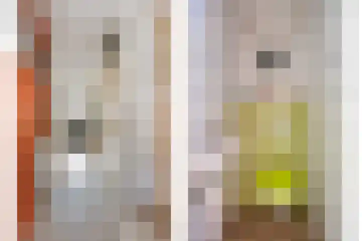 Dorsvlegelstraat 5 Purmerend thumbnail 10