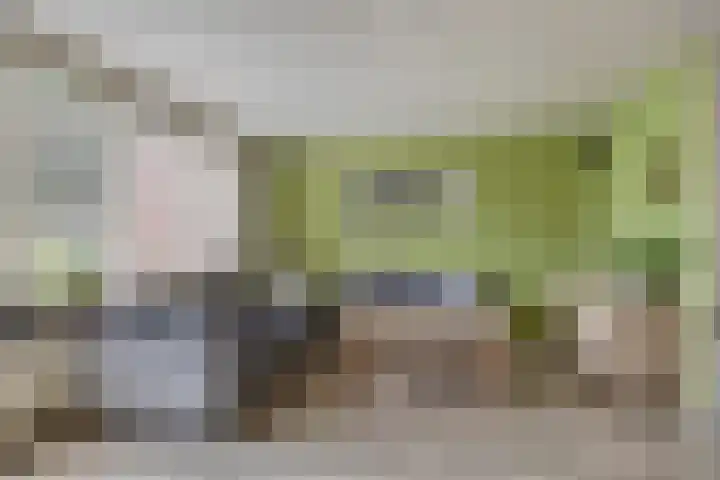 Dorsvlegelstraat 5 Purmerend thumbnail 12