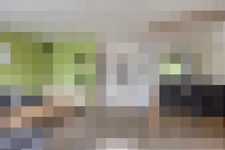 Dorsvlegelstraat 5 Purmerend thumbnail 13