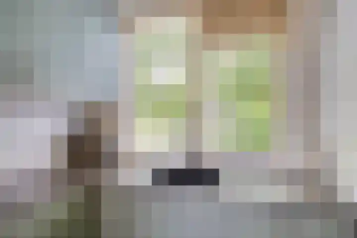 Dorsvlegelstraat 5 Purmerend thumbnail 17