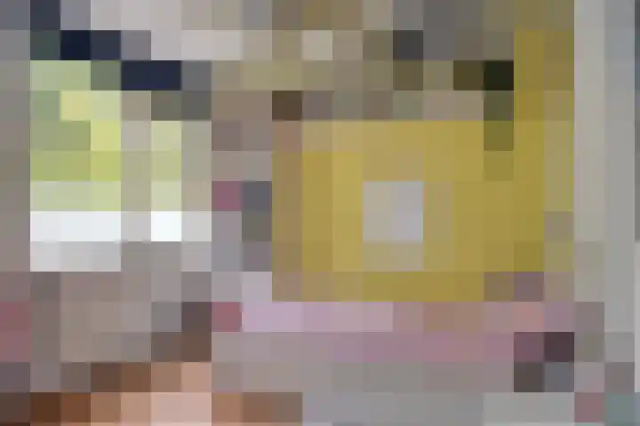 Dorsvlegelstraat 5 Purmerend thumbnail 25