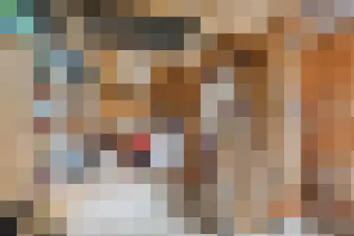 Dorsvlegelstraat 5 Purmerend thumbnail 34