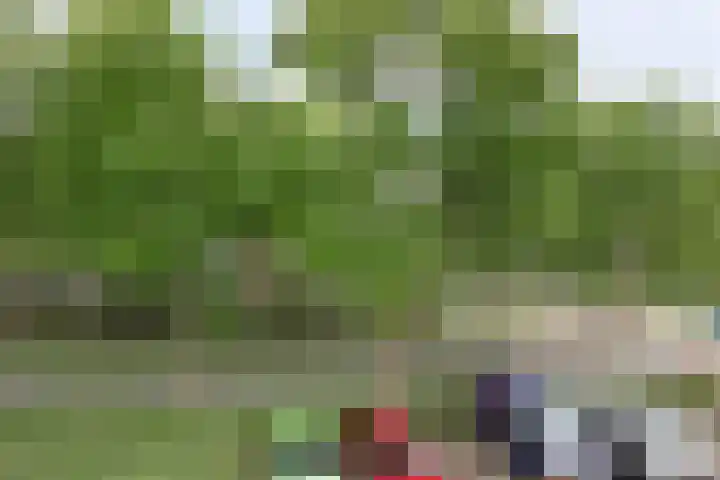 Dorsvlegelstraat 5 Purmerend thumbnail 38