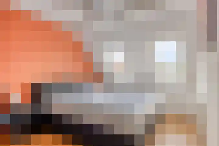 Dorsvlegelstraat 5 Purmerend thumbnail 4