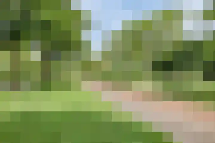 Dorsvlegelstraat 5 Purmerend thumbnail 40