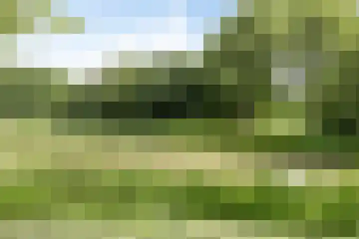Dorsvlegelstraat 5 Purmerend thumbnail 41