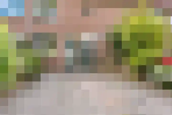 Dorsvlegelstraat 5 Purmerend thumbnail 8