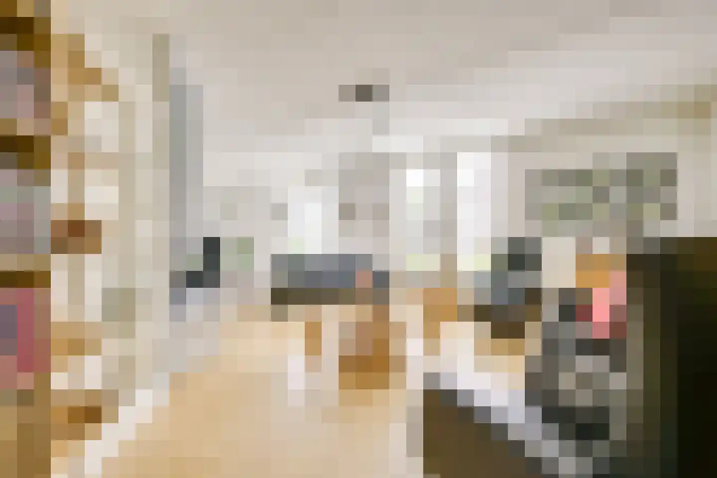 Dorsvlegelweide 9 Nieuwegein thumbnail 11