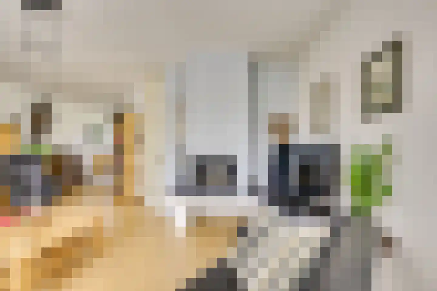 Dorsvlegelweide 9 Nieuwegein thumbnail 12